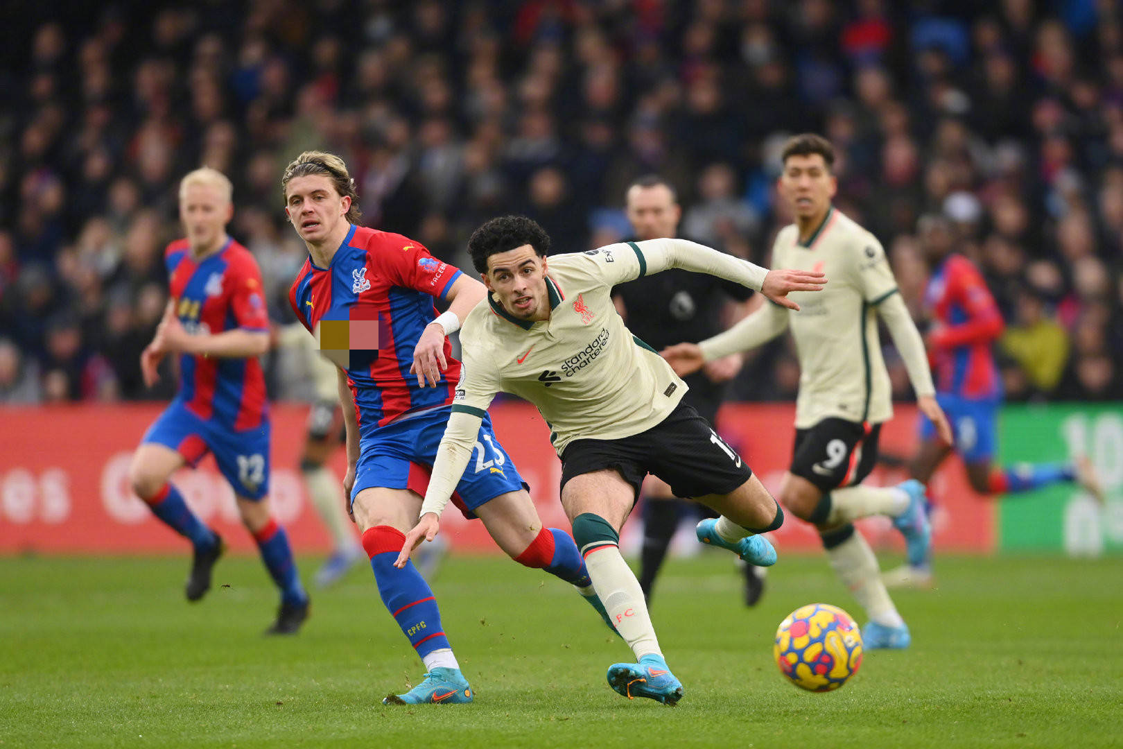 日本旅欧球 日本旅欧球